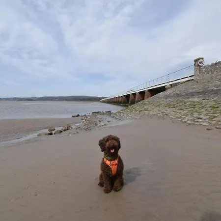 アパート 3 Bed In Sz425 *